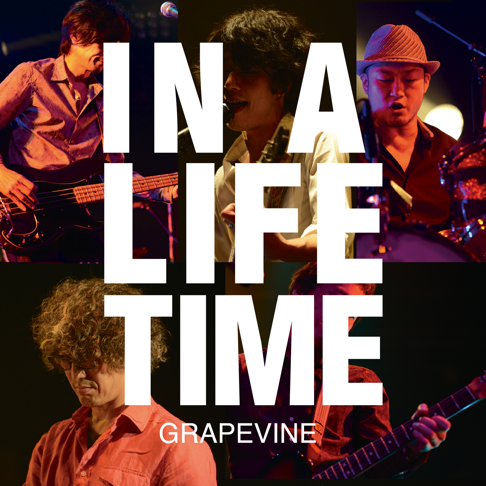 『Lifetime Live at SHIBUYA AX 2014.05.19』ジャケット