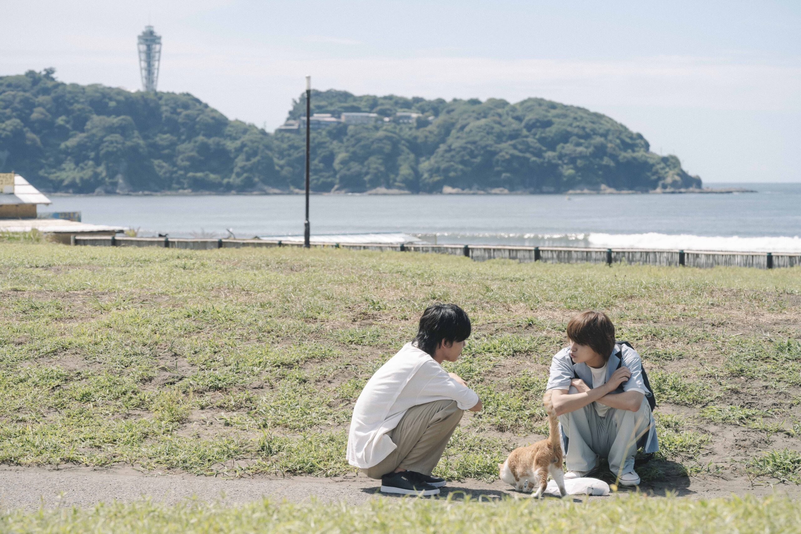 ⽇向亘&⼤倉空⼈W主演ドラマ『君となら恋をしてみても』まばゆくて甘酸っぱい予告解禁|Ⓒ2023 窪⽥マル・⽩泉社/ドラマ「君となら恋をしてみても」製作委員会・MBS