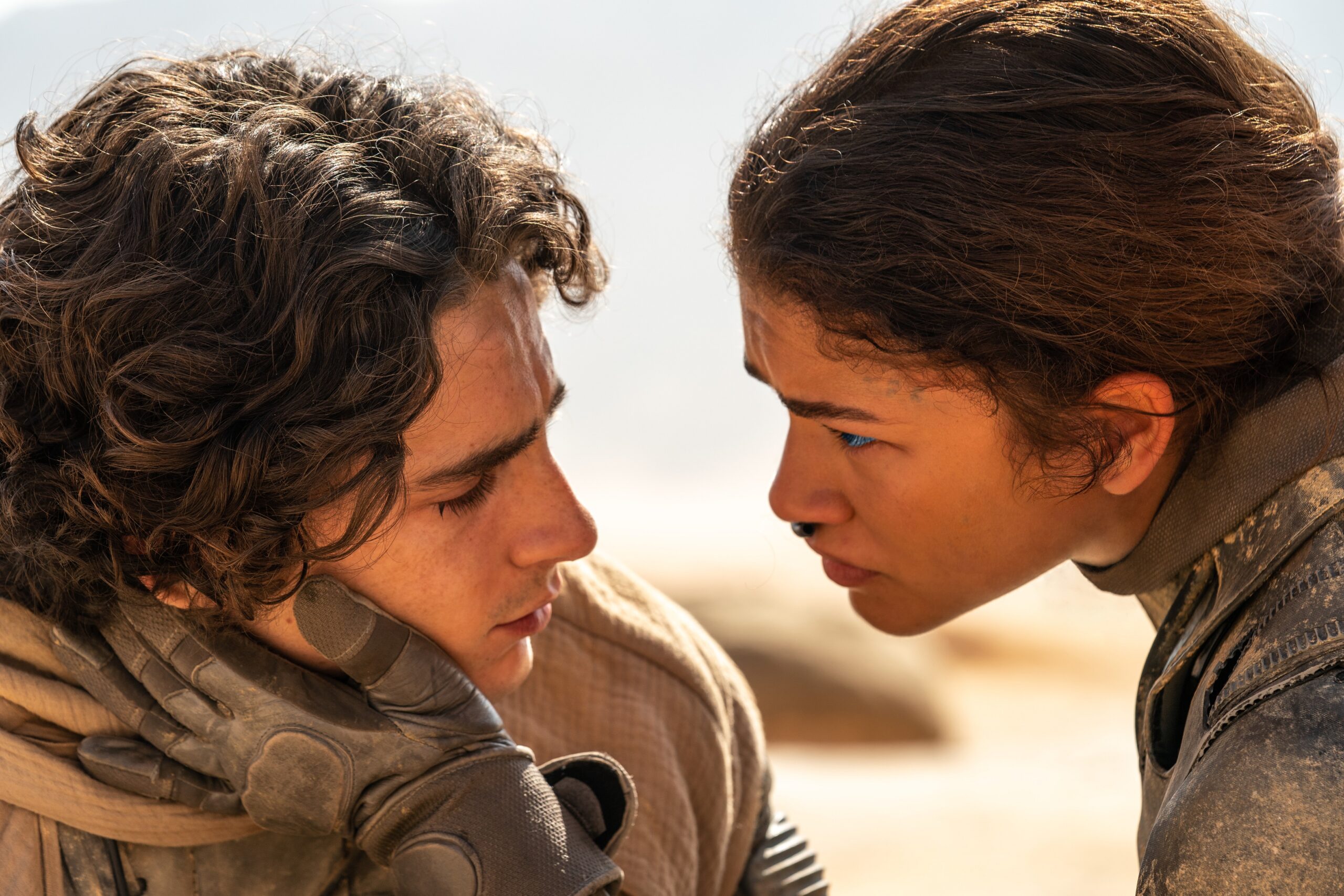 『デューン 砂の惑星PART2』ティモシー・シャラメが再演を喜ぶスペシャル映像公開｜© 2023 Legendary and Warner Bros. Ent. All Rights Reserved