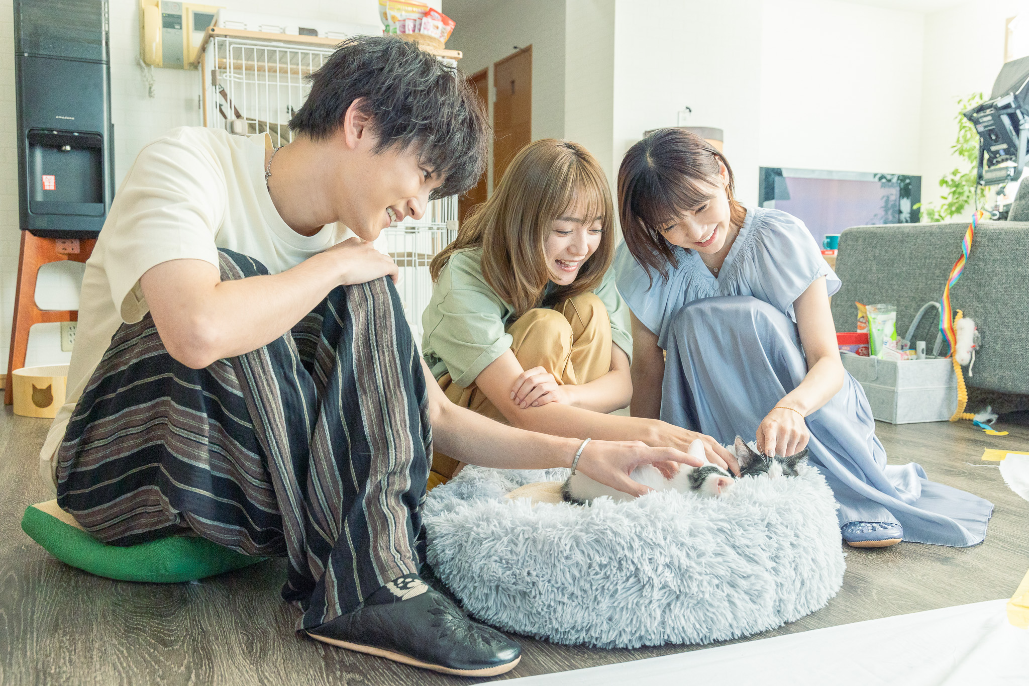安達祐実×倉科カナ×渡邊圭祐『三日月とネコ』予告映像公開、保護ネコ迎えるビジュアルも｜©2024映画「三日月とネコ」製作委員会 ©ウオズミアミ／集英社