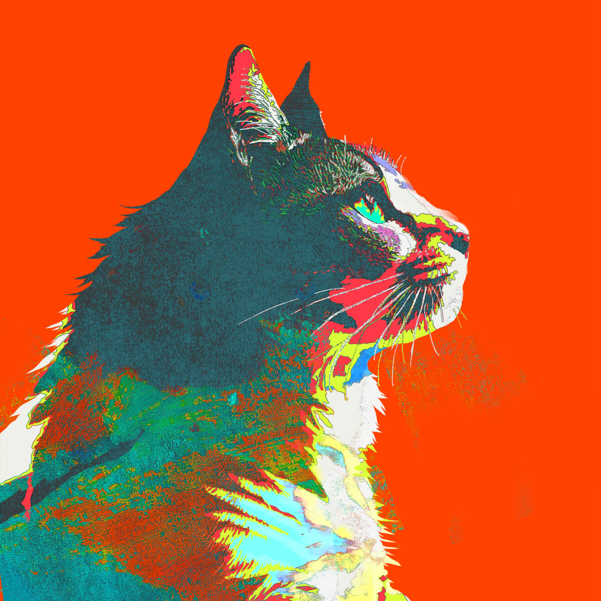 5d729afba84ba97c72f1fb91b6ffb7