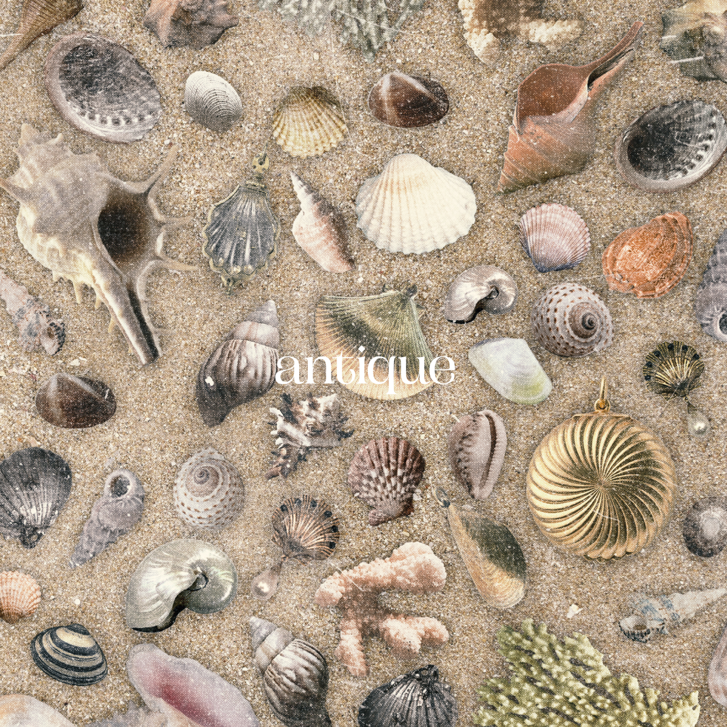 『antique』通常盤ジャケット