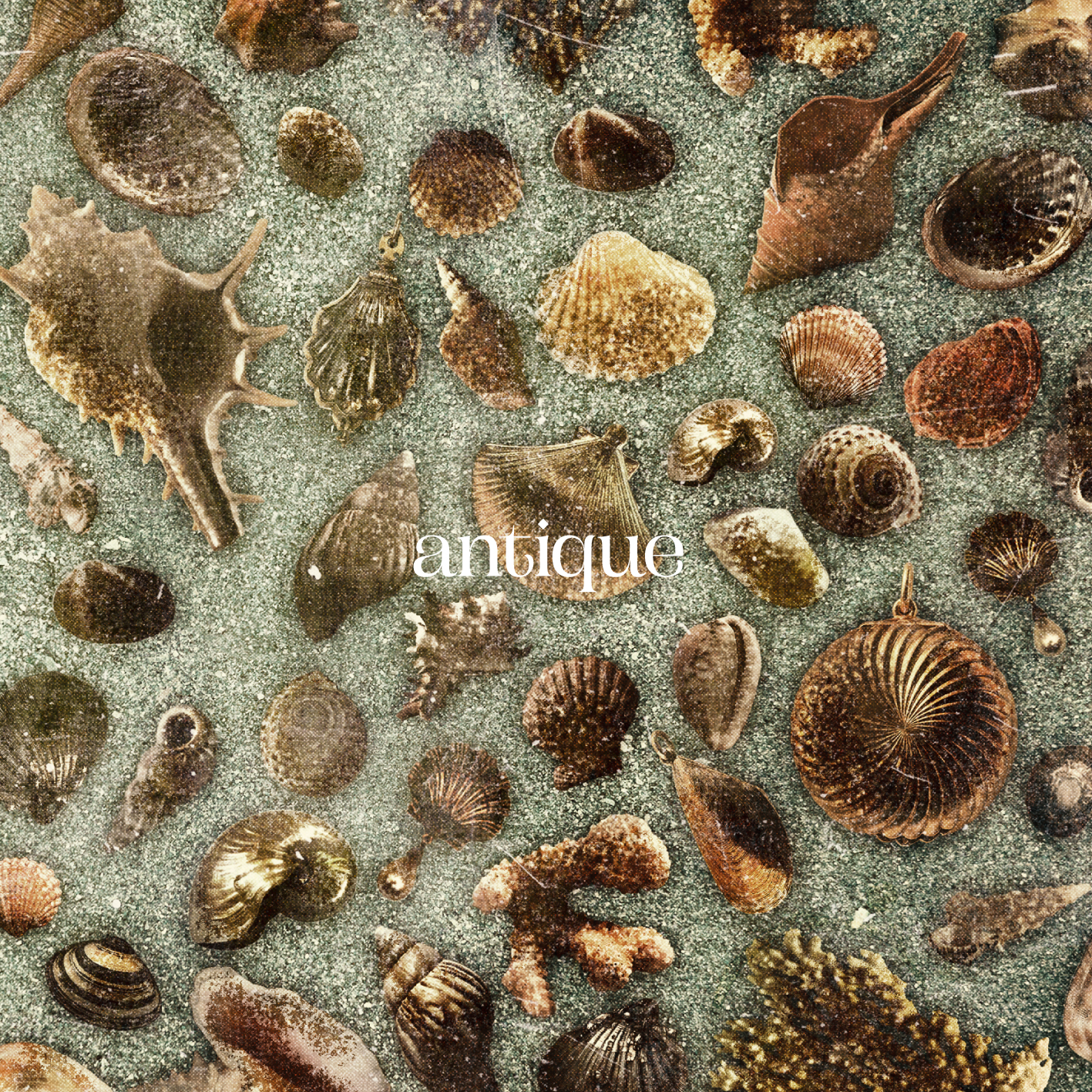 『antique』初回盤ジャケット