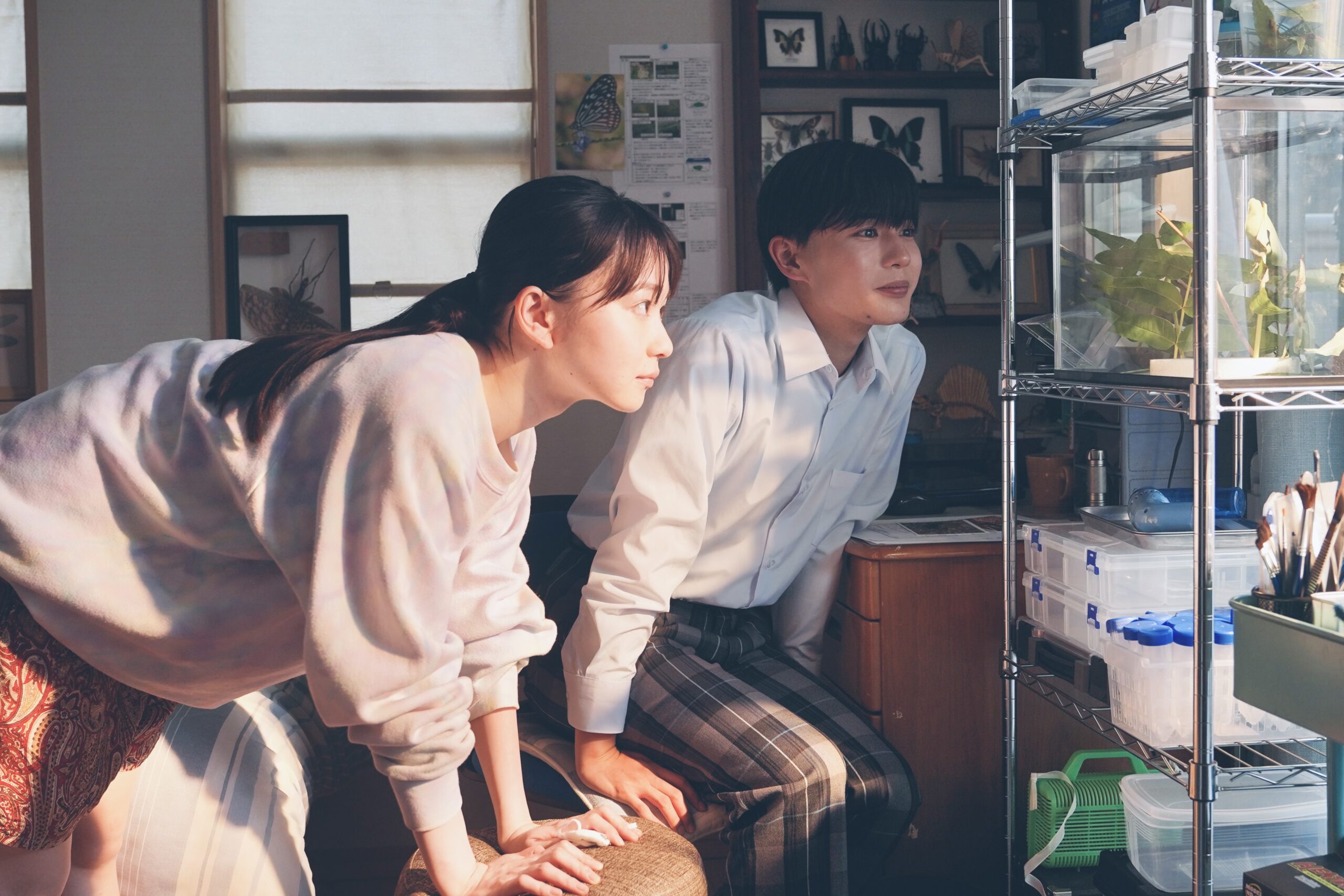 山田杏奈の衝撃的な発言に長尾謙杜は一途な想いを叫ぶ、映画『恋に至る病』本予告解禁｜©︎2025『恋に至る病』製作委員会