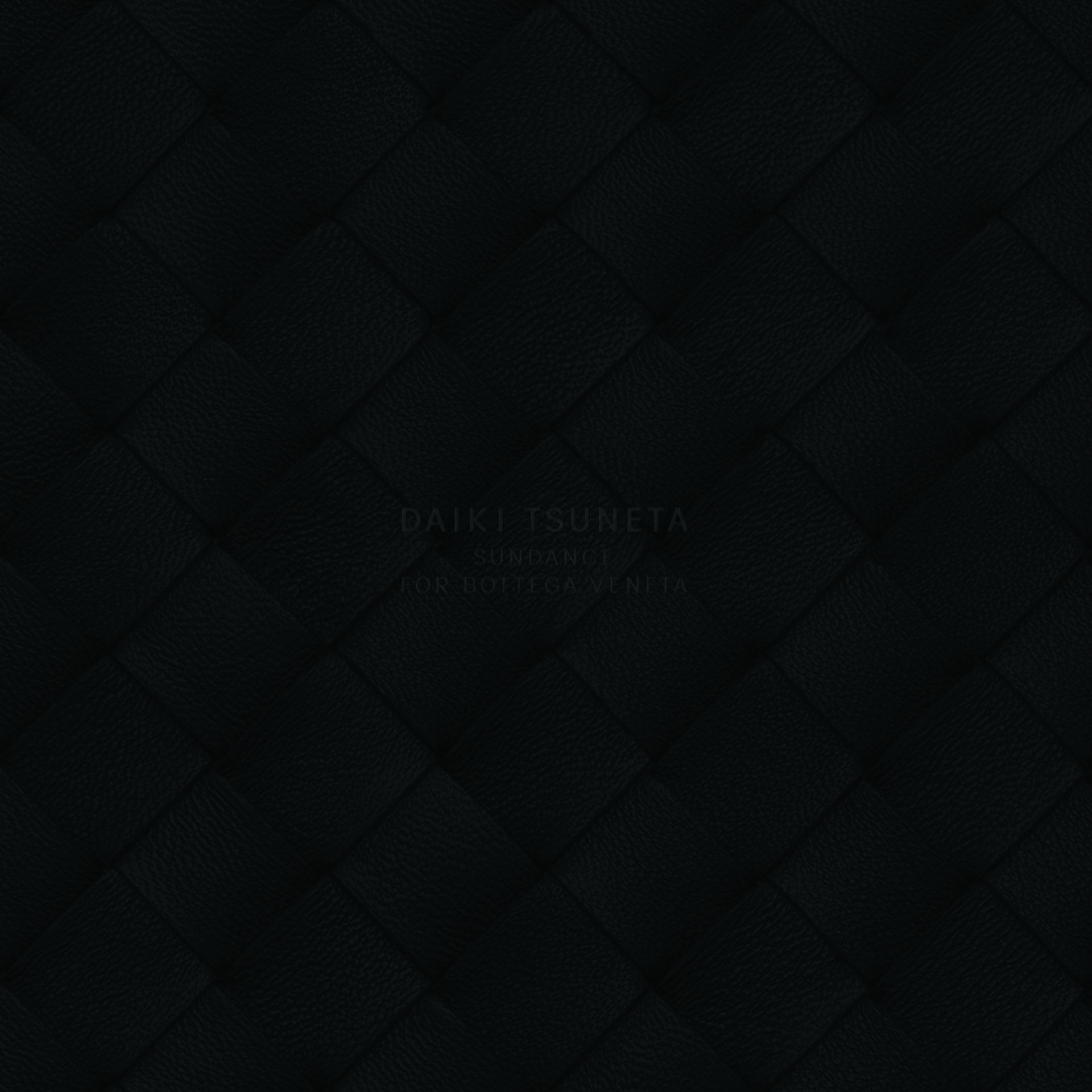 『SUNDANCE FOR BOTTEGA VENETA』ジャケット