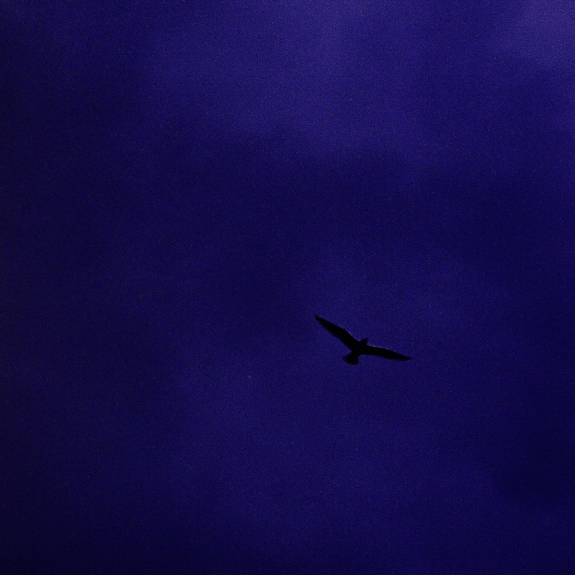 『言伝』ジャケット