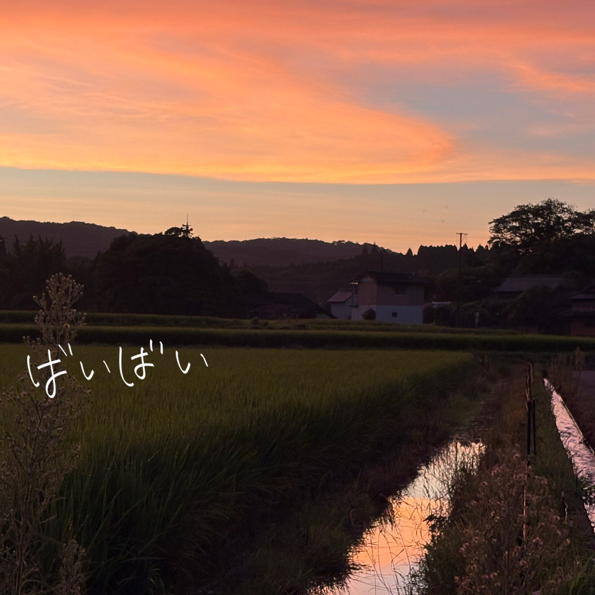 『ばいばい』ジャケット