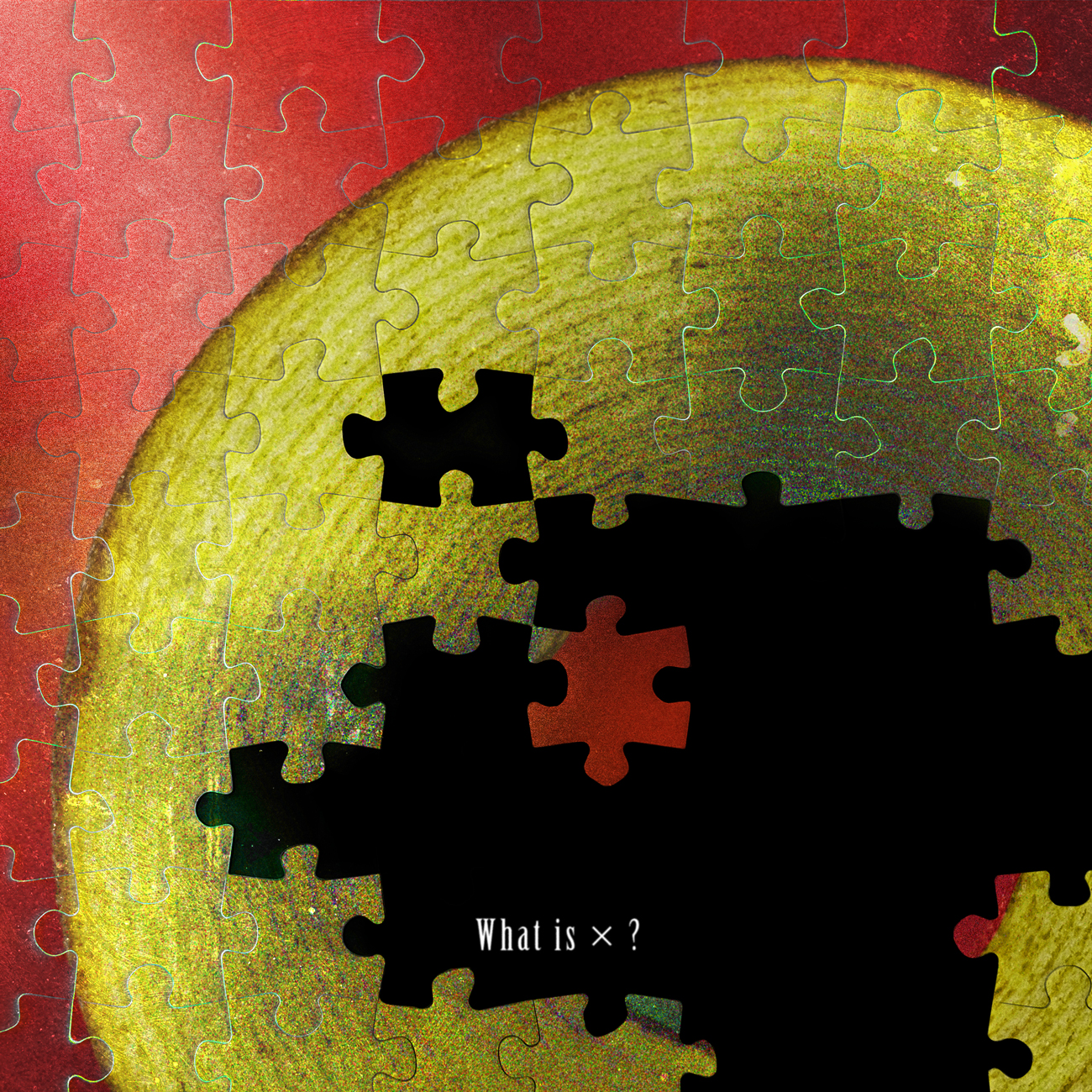 『What is ×?』ジャケット