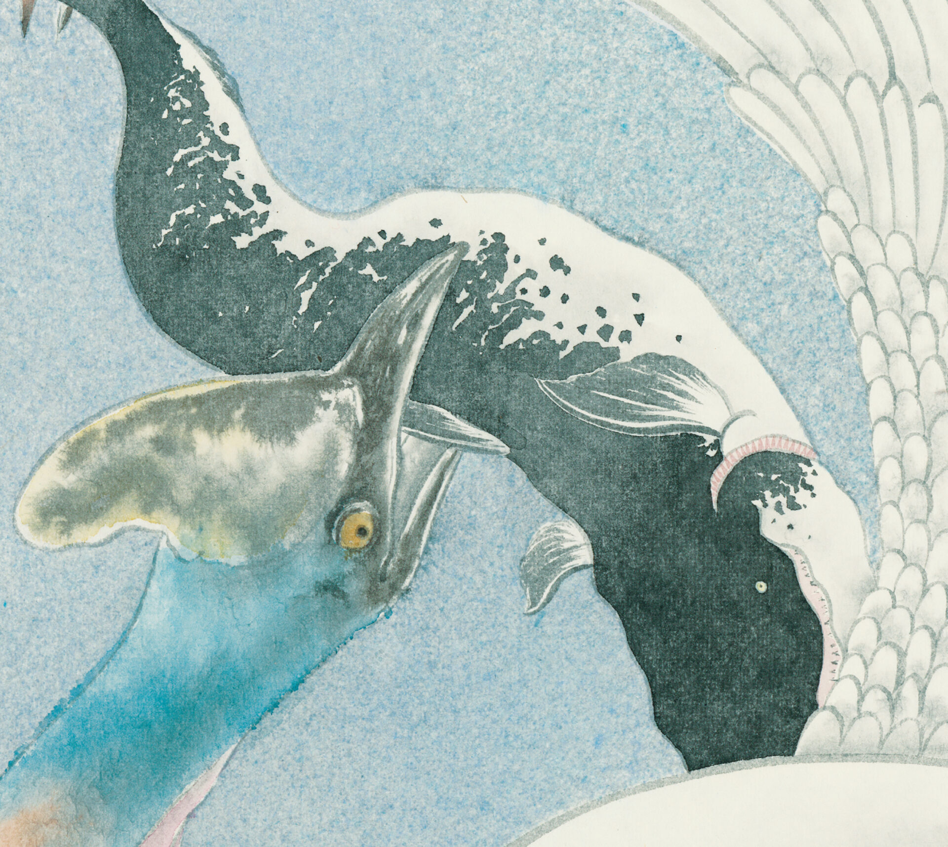 『儚くも美しき12の変奏』初回限定盤ジャケット