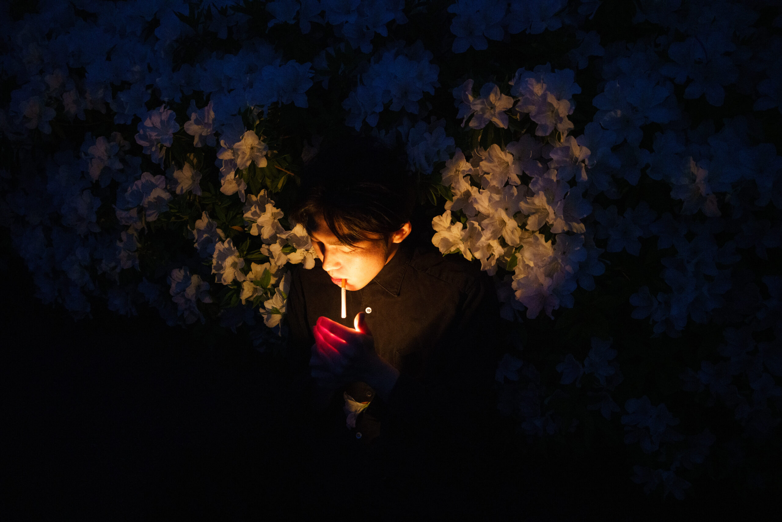 君島大空が3rdフルアルバム発表、全9曲入り『花落知多少』6月17日リリース｜