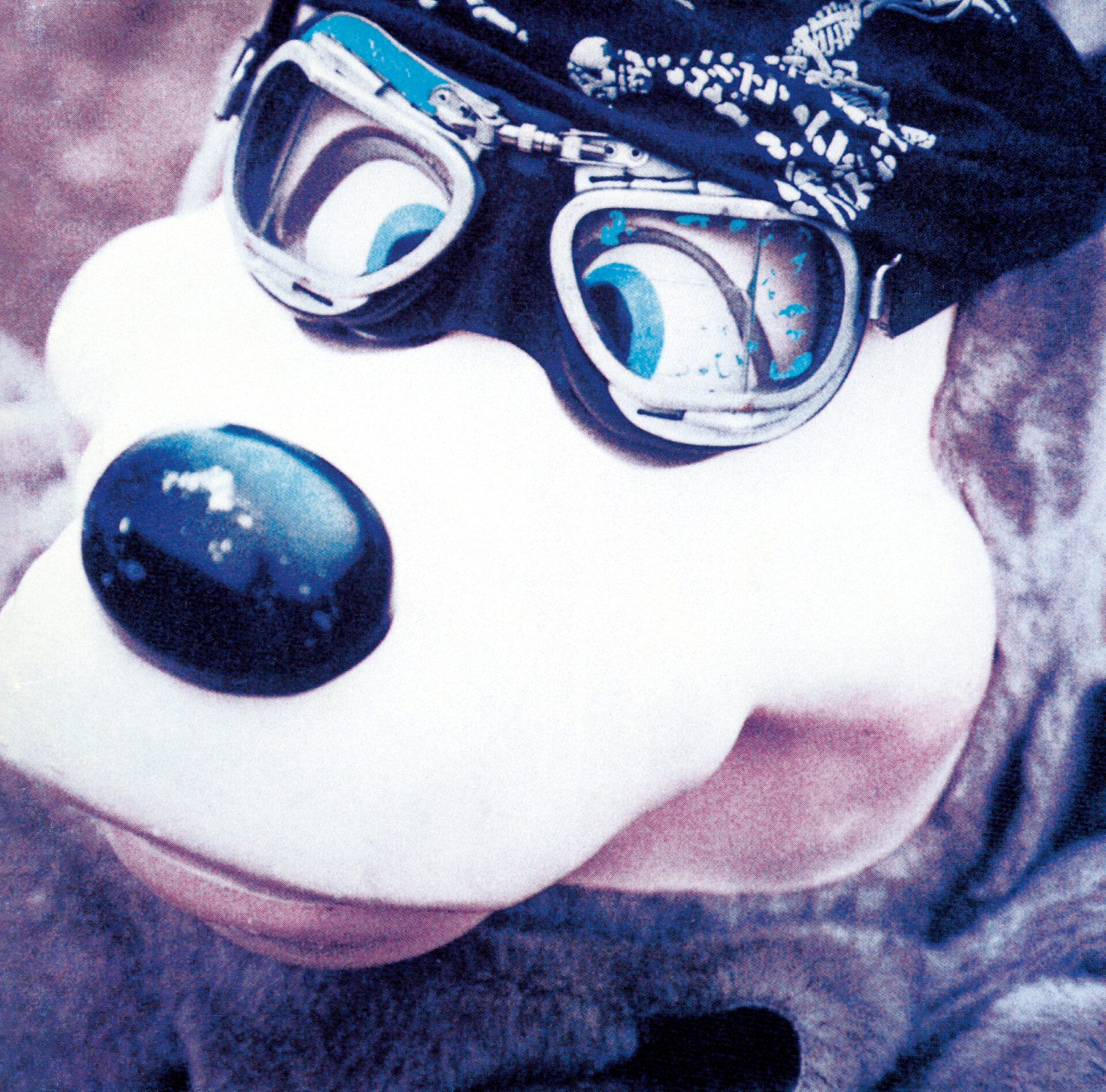 『C.B.Jim』ジャケット写真