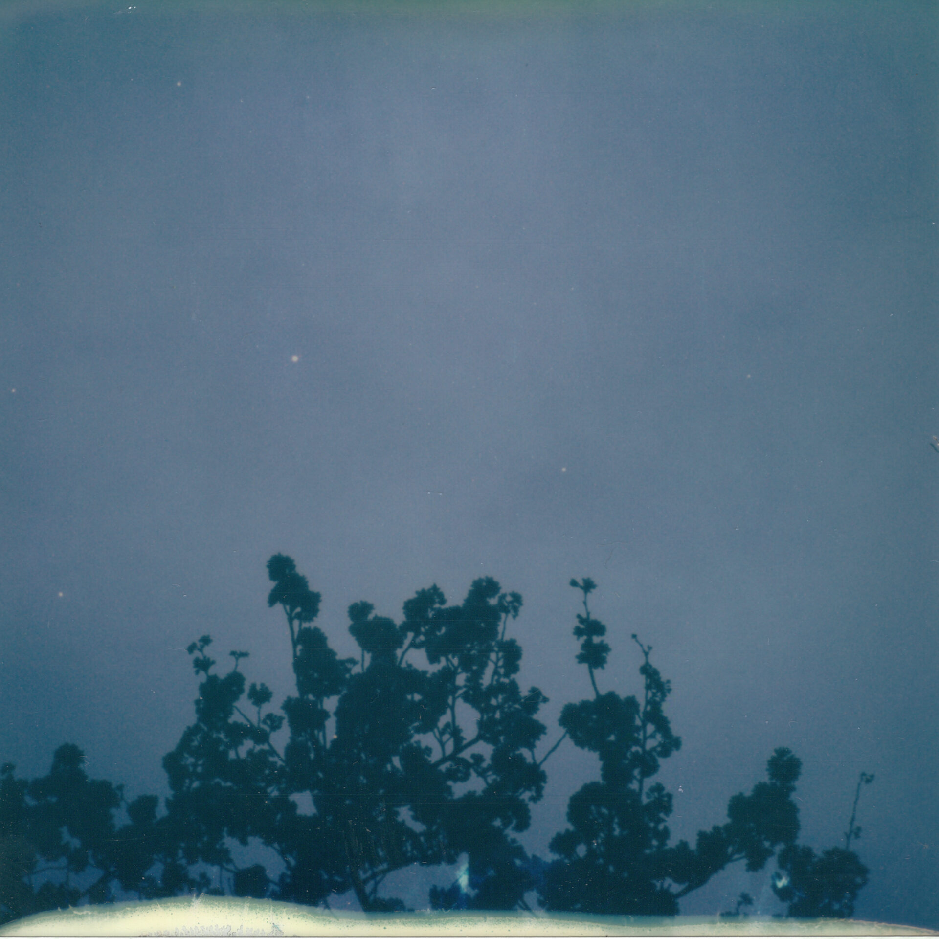 『花落知多少』ジャケット